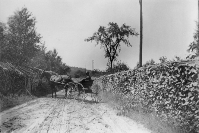 Piles of cord-wood line a road in West Windham NH, waiting to be shipped out of town on the rail line. 