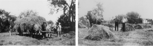 Haying on the Johnson Farm in Windham NH