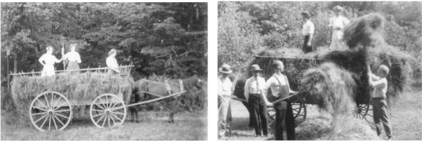 Haying on the Wilson Farm on the Windham/Derry Line